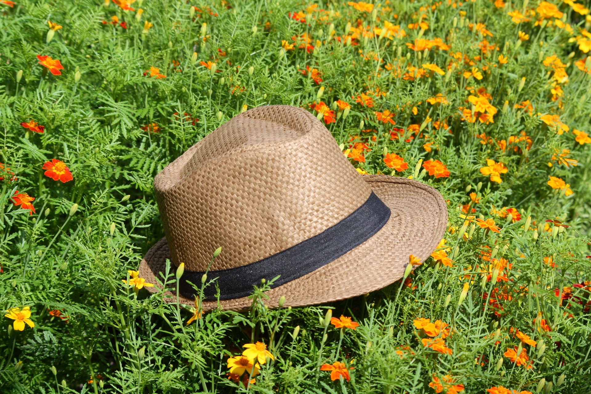 В большой соломенной шляпе расписанной чудесными цветами. Соломенная шляпа. Шляпка на траве. Цветы в соломенной шляпе. Садовая шляпа.