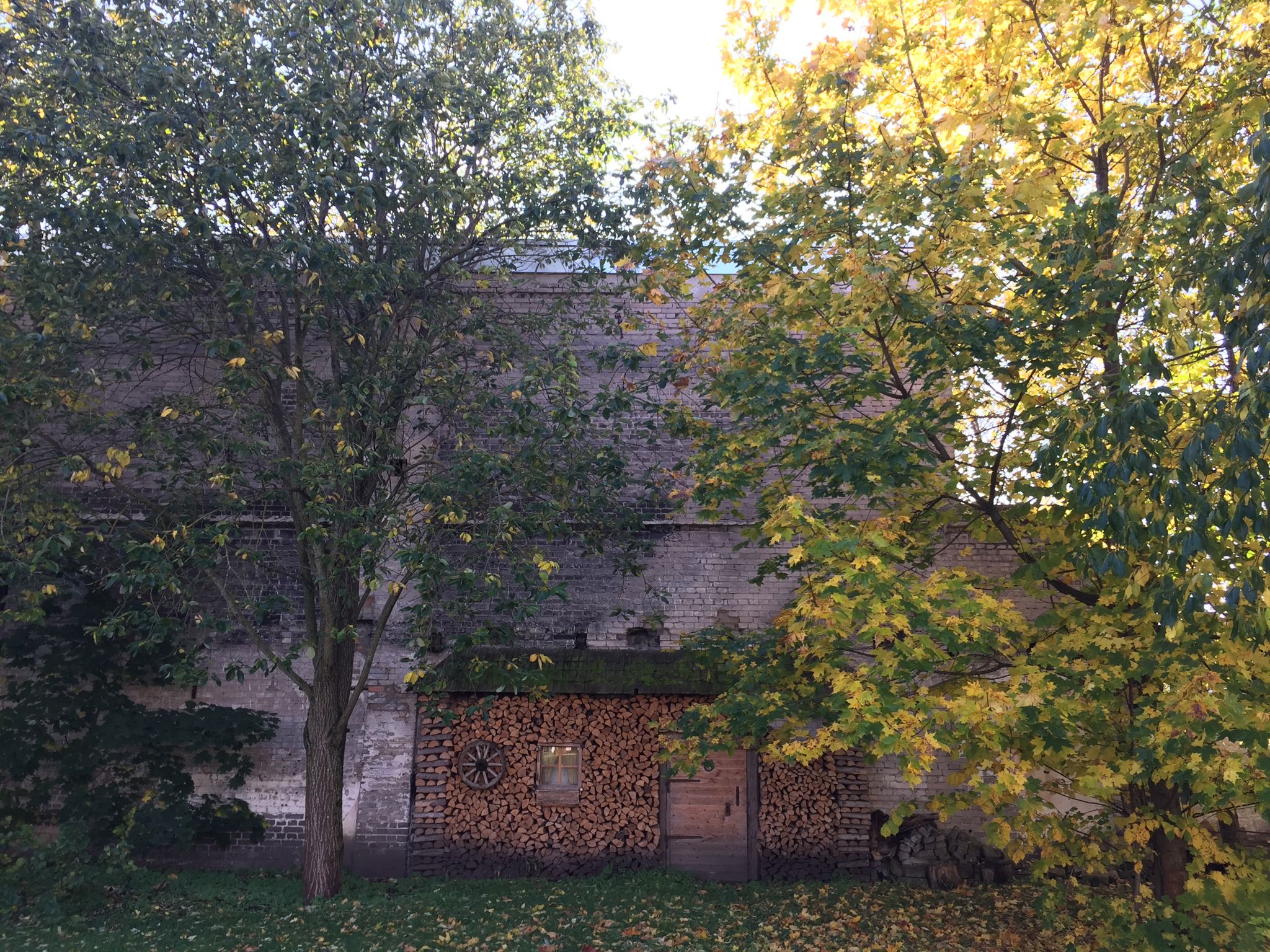 IMG_0282.jpg