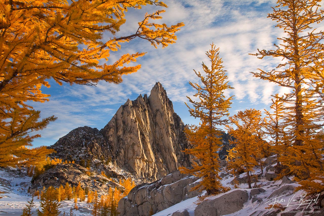 prusik-peak-enchantments-larches-20111013_0735.jpg