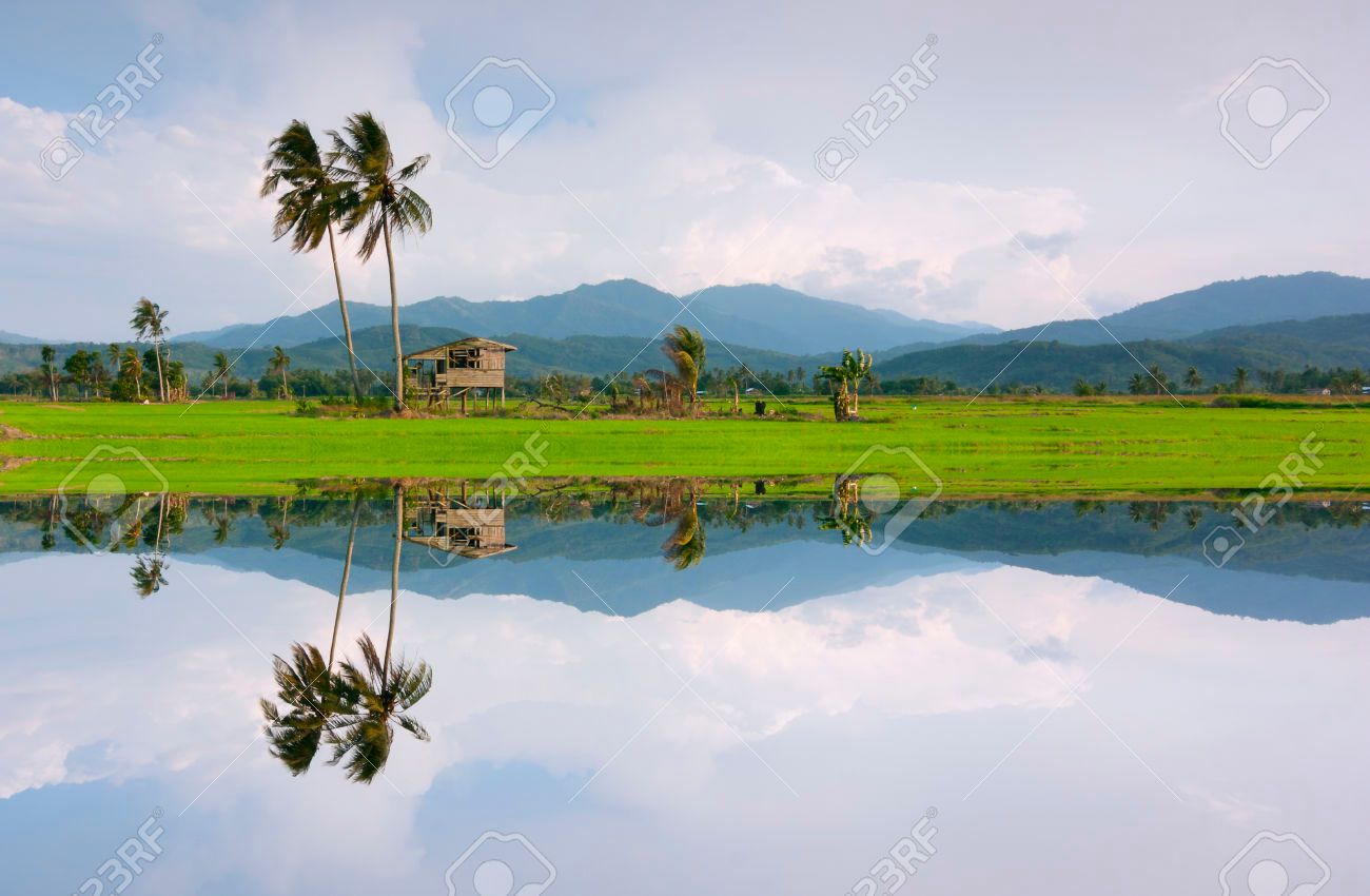 30891790-Reflection-of-a-rural-scenery-in-Kota-Marudu-Sabah-East-Malaysia-Borneo-Stock-Photo.jpg