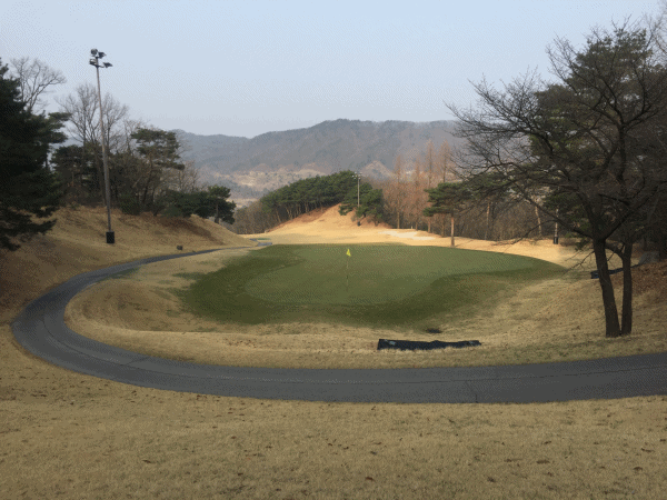 golf_1.gif
