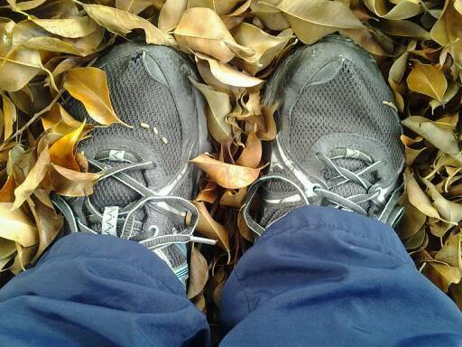 19399158_10154781789501139_715797178341972599_n (1).jpg