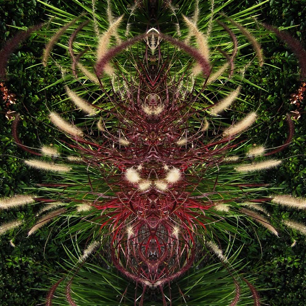 S_LA692_0005b_insta.jpg