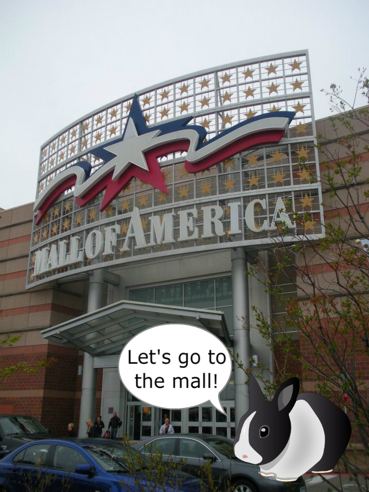 mall 4.jpg