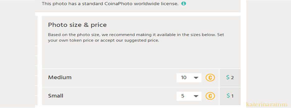 coinaphoto2a.jpg