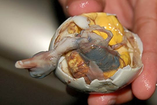 Balut 3.jpg