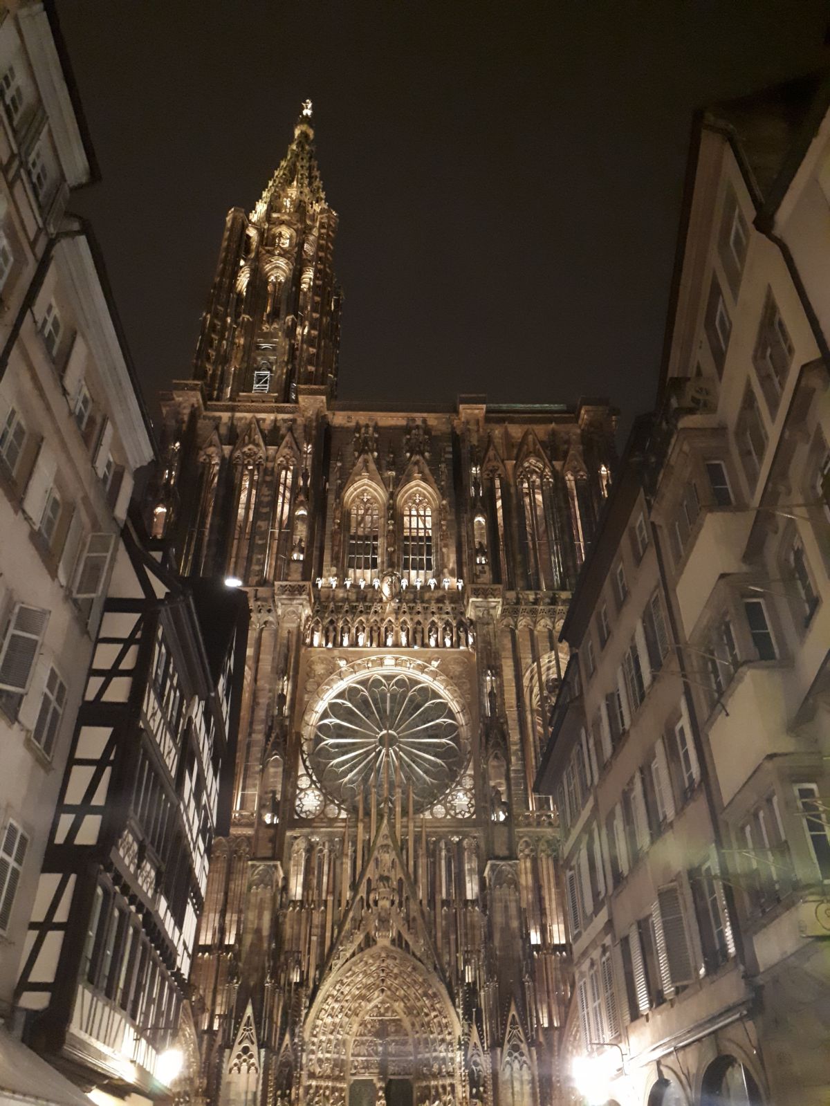 cattedrale strasburgo.jpeg