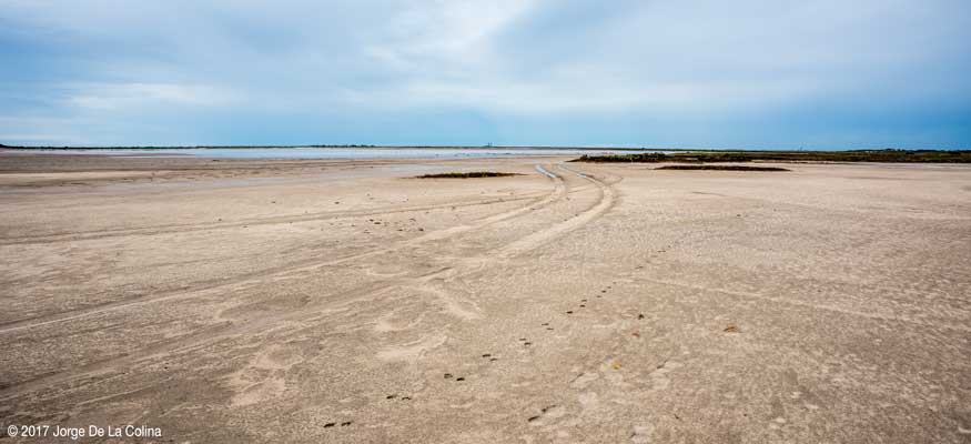 Bricks-In-The-Sand-Wide.jpg