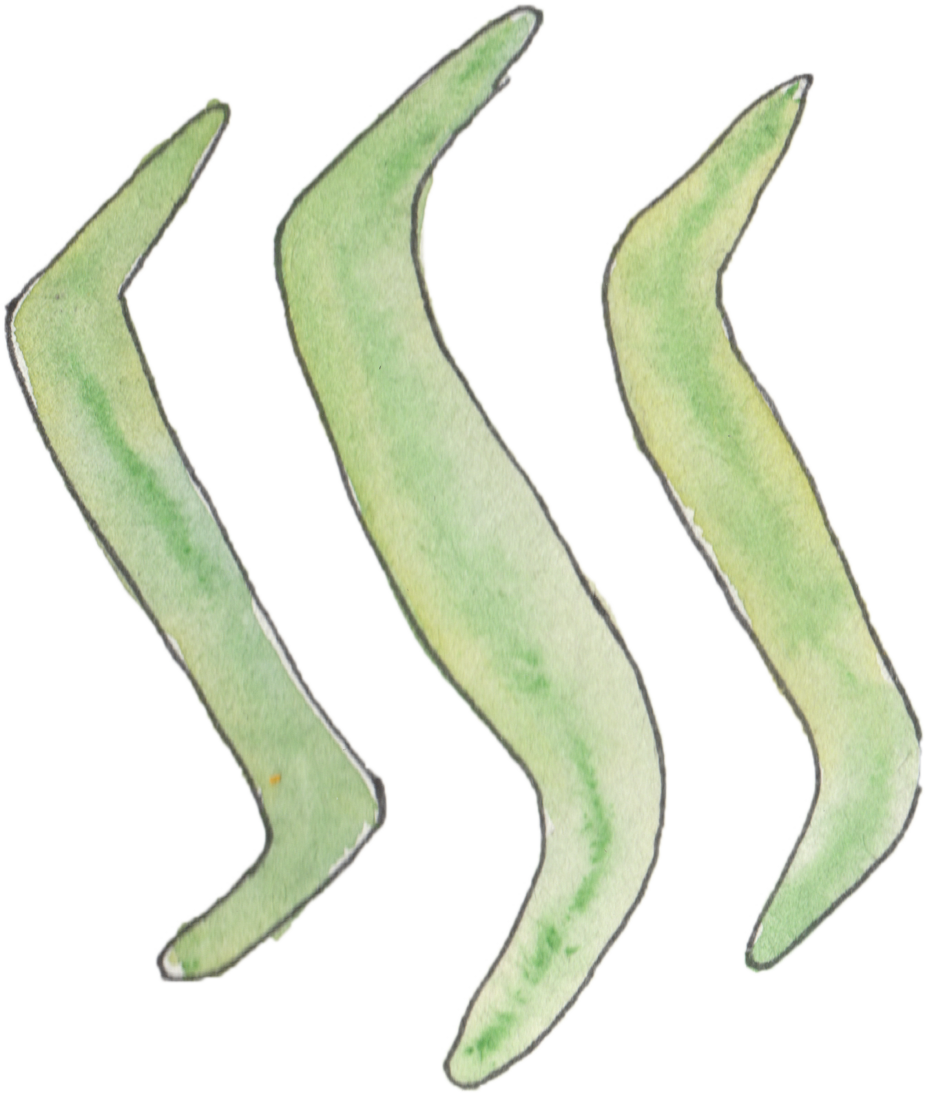 steemitseaweed.png