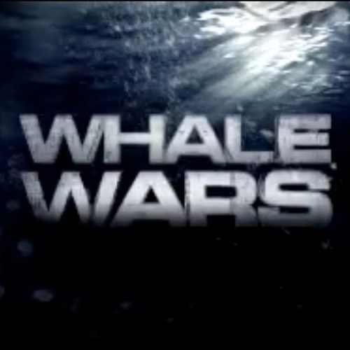 Whale Wars 1.jpg