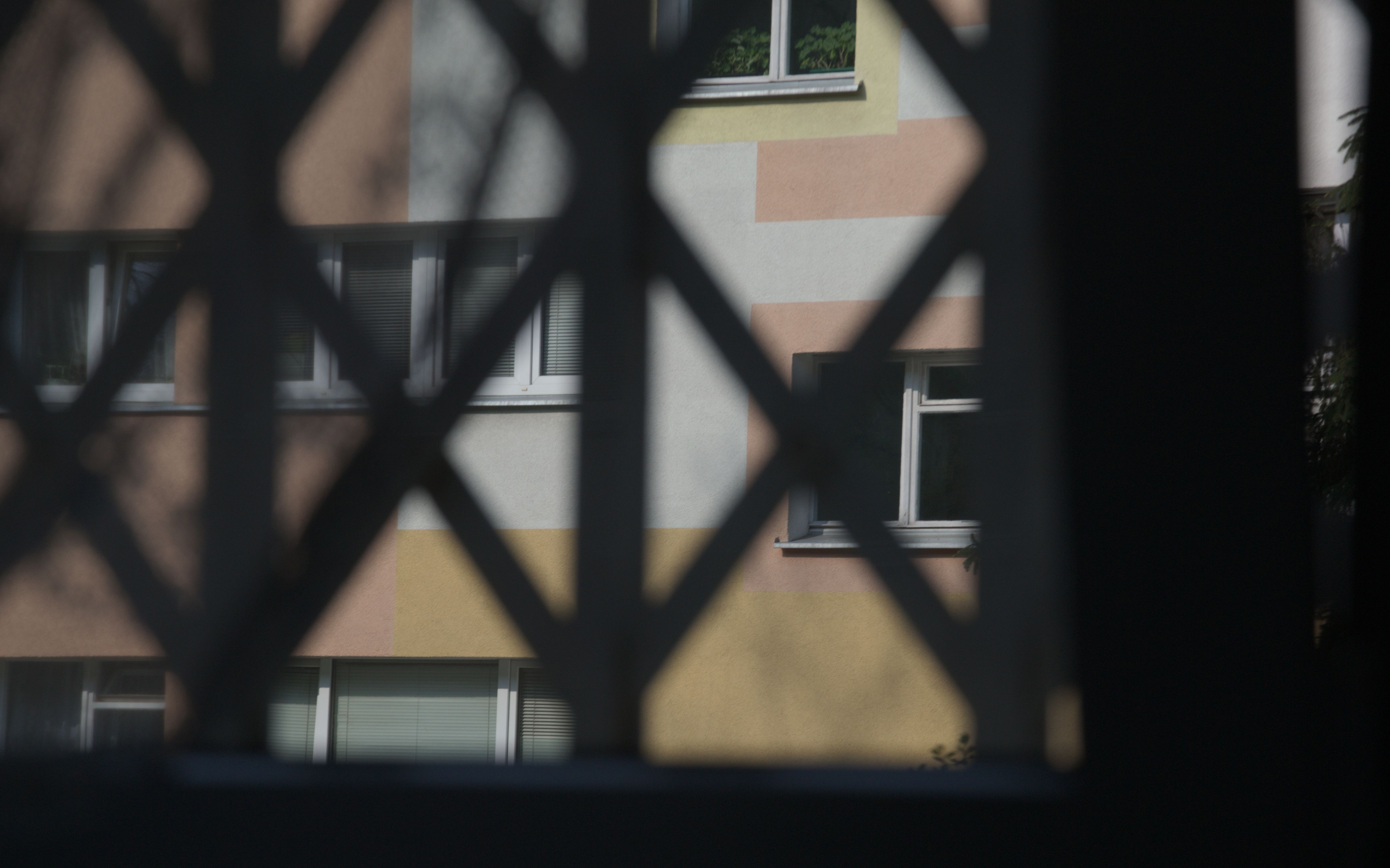 DSC_0029.jpg