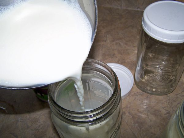 Making yogurt - milk into jar crop Dec. 2017.jpg