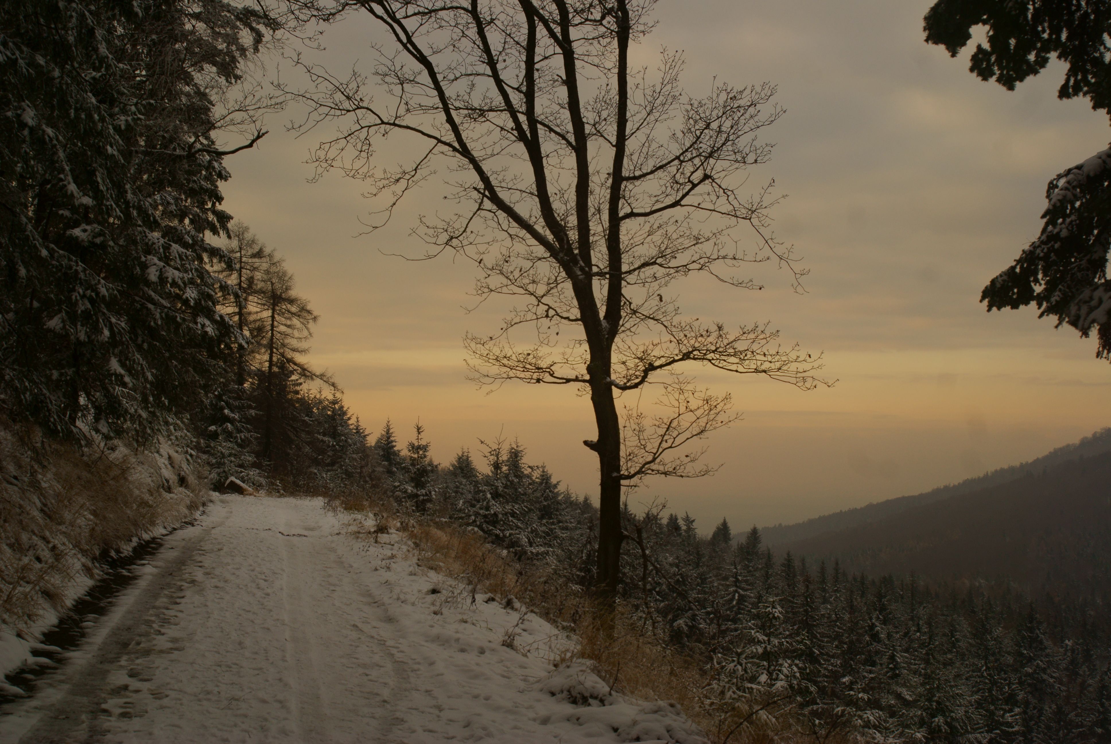 DSC03384.JPG