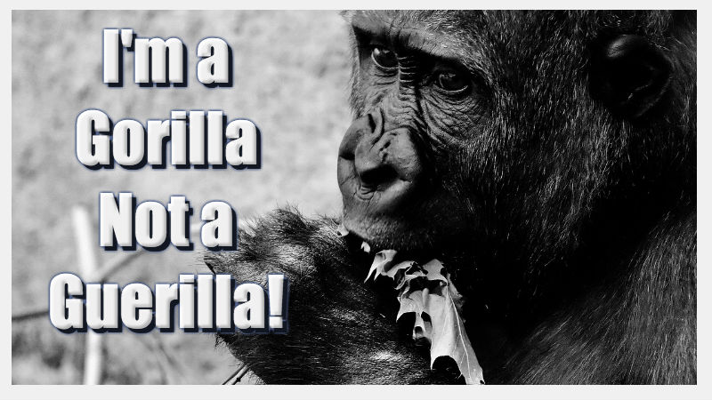 gorilla.jpg