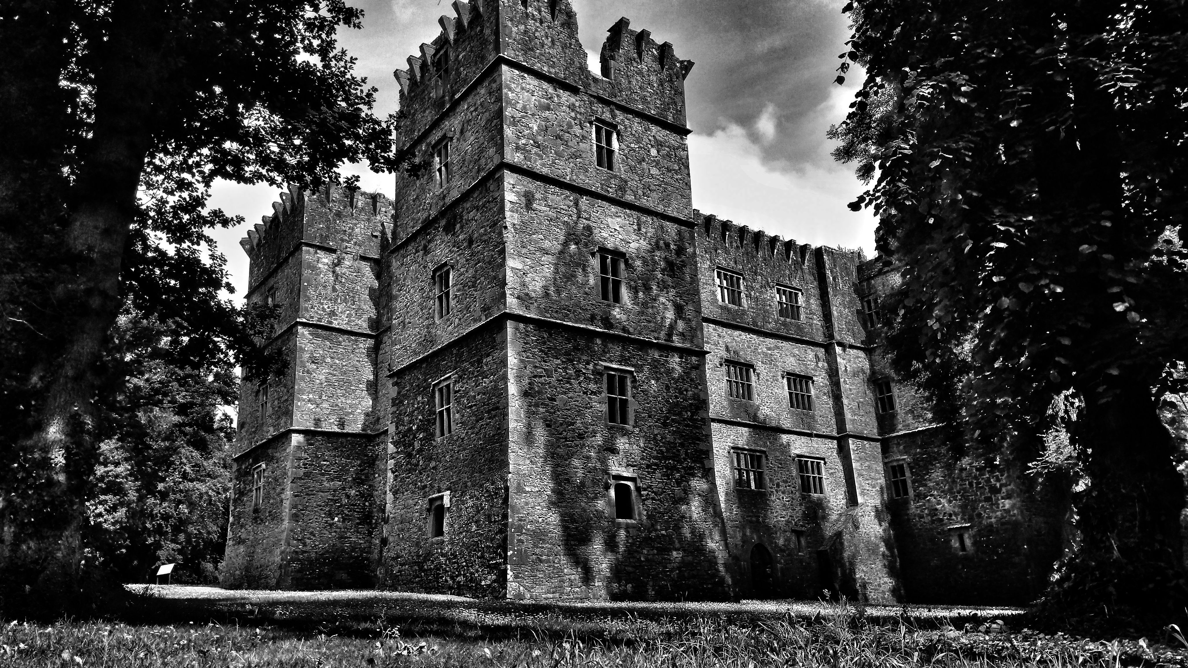 DSC_0535-01-01.jpeg