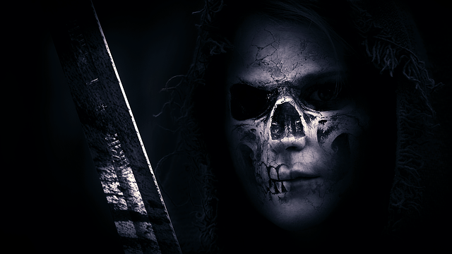 skull-782385_640.png