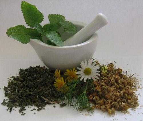 Therapeutic Herbs 0.jpg