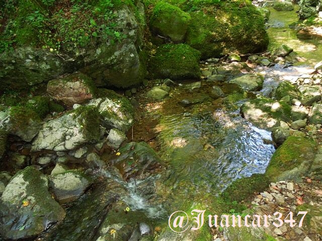 Asturias septiembre 2012 549.jpg