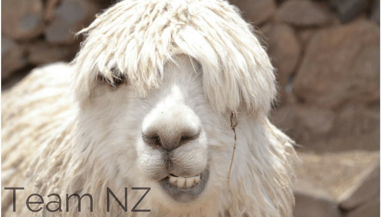 teamnz-bot-sheep.png