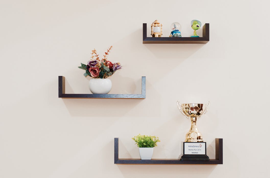 plant-prize-shelves-74942.jpeg