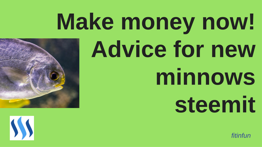 fitinfun How to make money as a new minnow on steemit header png.png