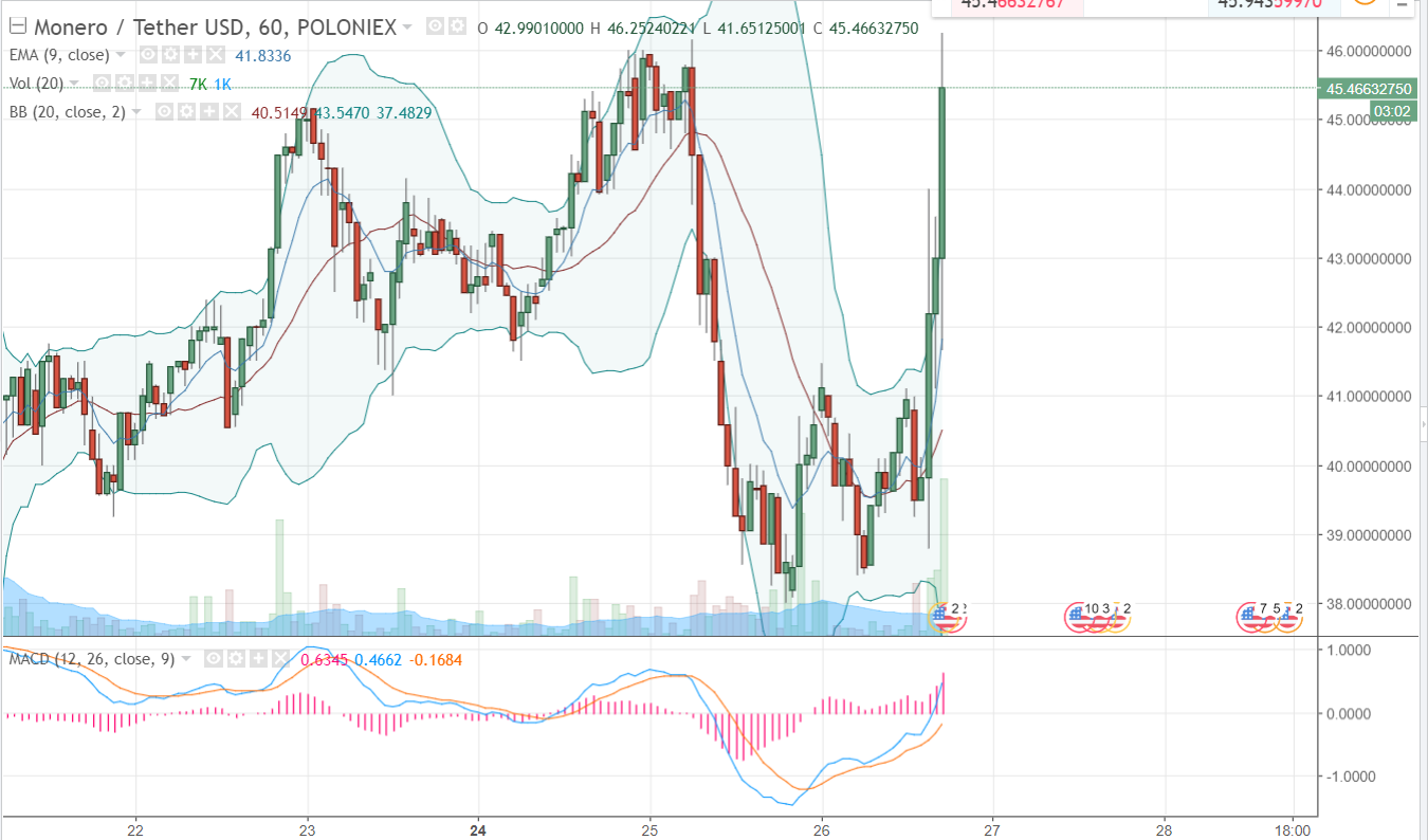 FireShot Capture 155 - XMRUSDT_ 45.46632750 ▲+12.02% _ - https___www.tradingview.com_chart_AxIWekrr_.png