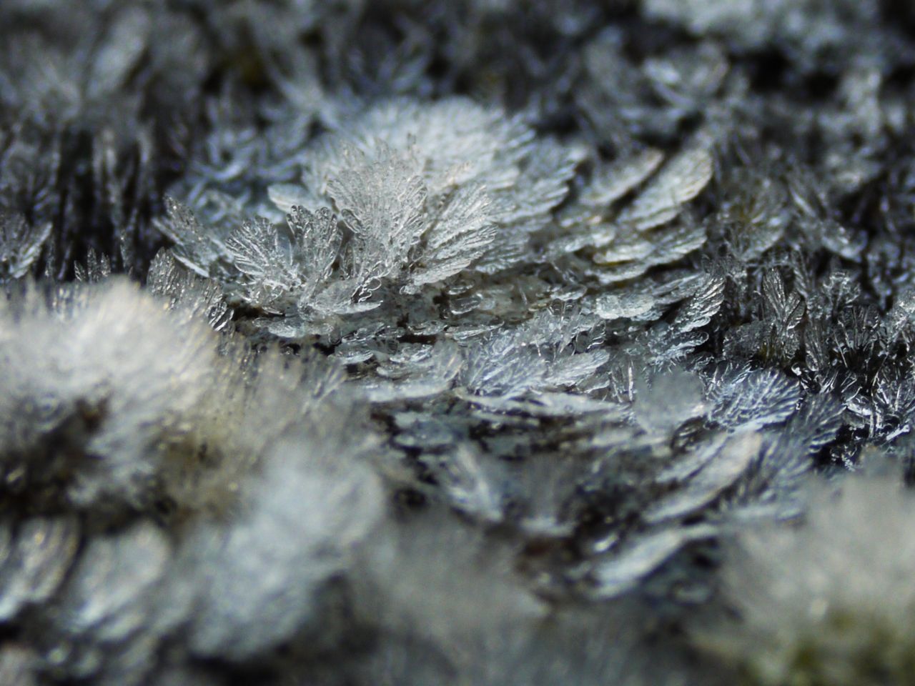 15942493572 - miniature ice crystals form morning frost along.jpg