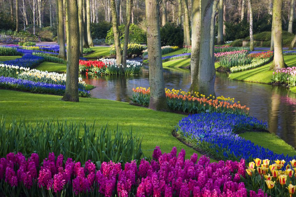 pond-and-spring-flowering-blubs-keukenhof-gardens-91271789-592b48c15f9b585950e42c47.jpg