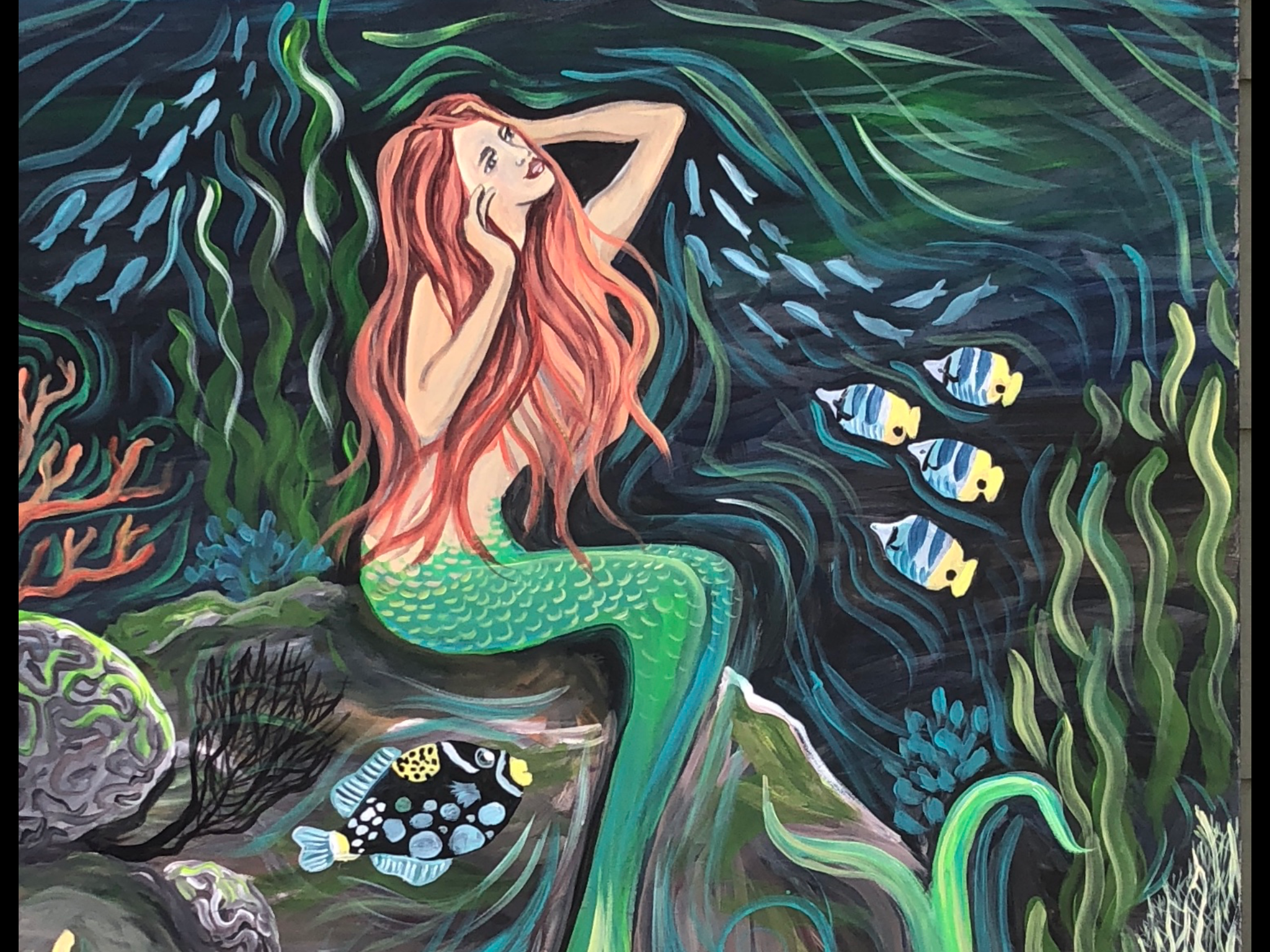 Scott певица Mermaid