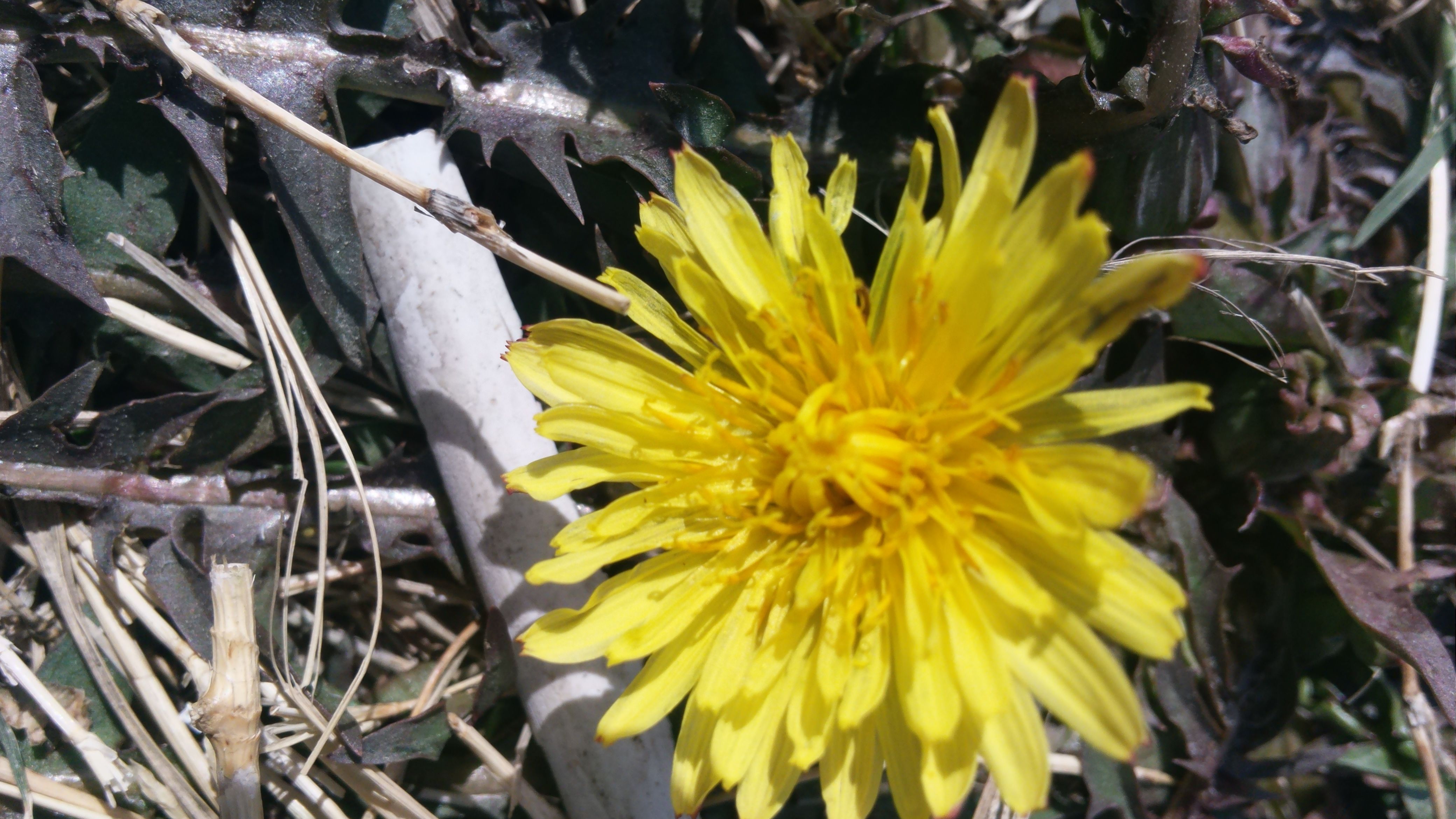 20180227_120243.jpg