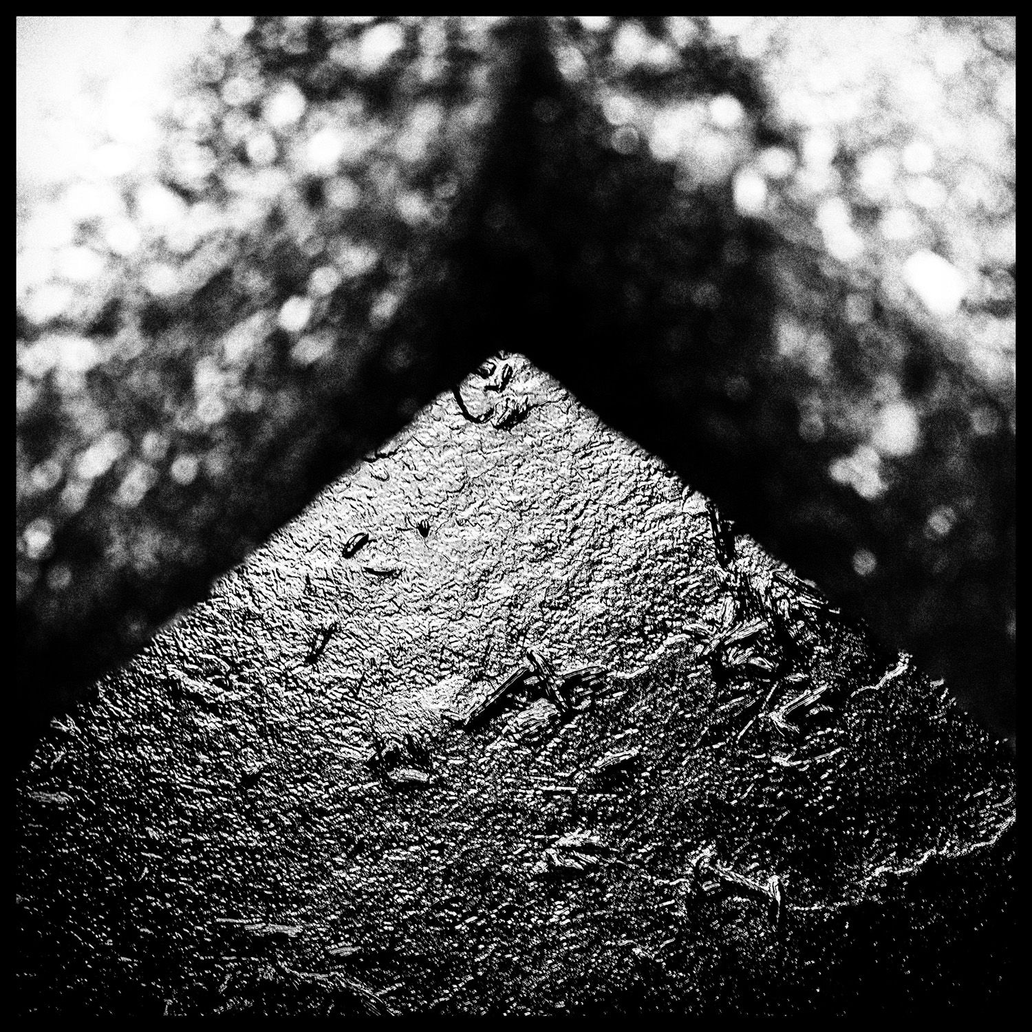 IMGP5649 — kopia.jpg