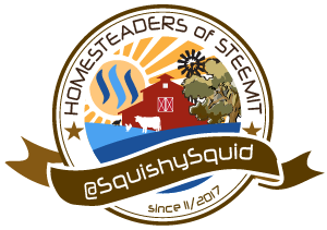steemit-homesteading-SquishySquid.png