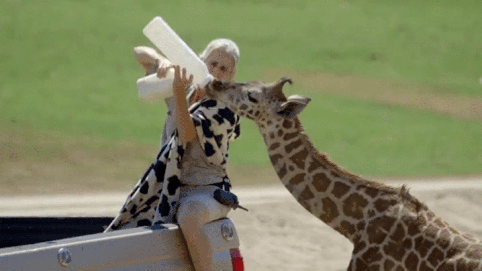 giphy-downsized-large (1).gif