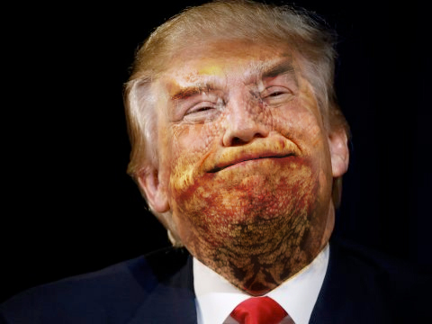 trump_toad.jpg