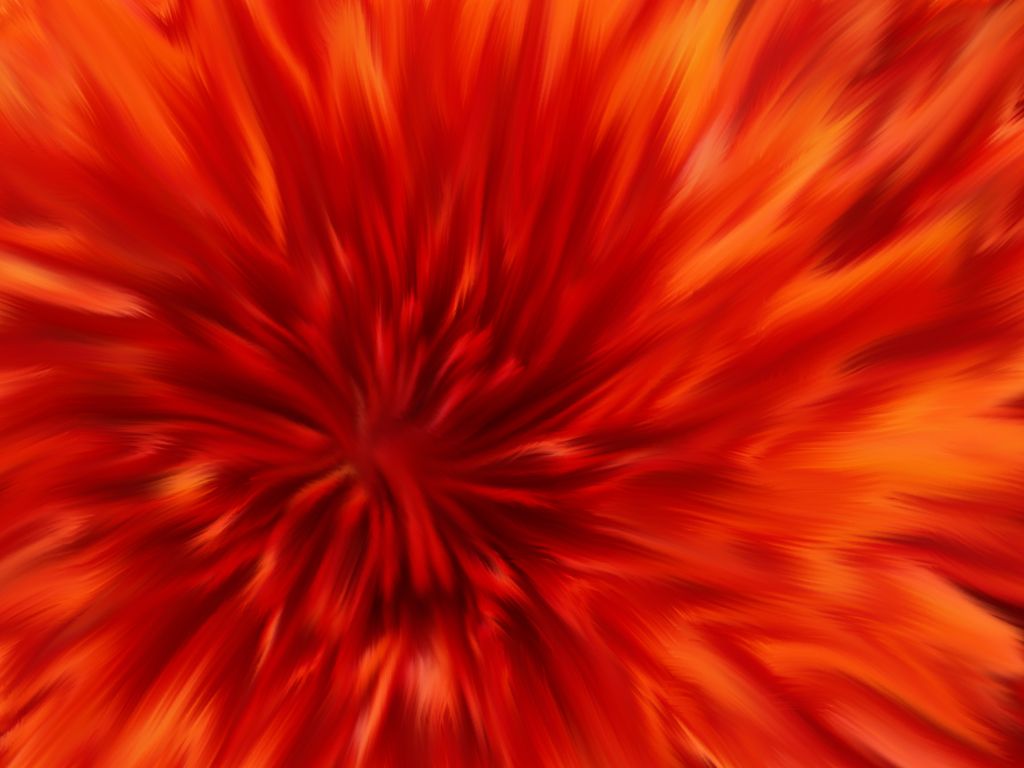 Chrysanthemum.jpg