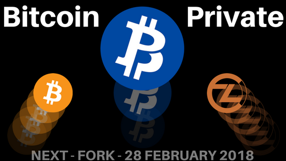 bitcoin fork private