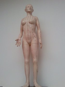 rsz_acupuncture-50082_960_720.jpg