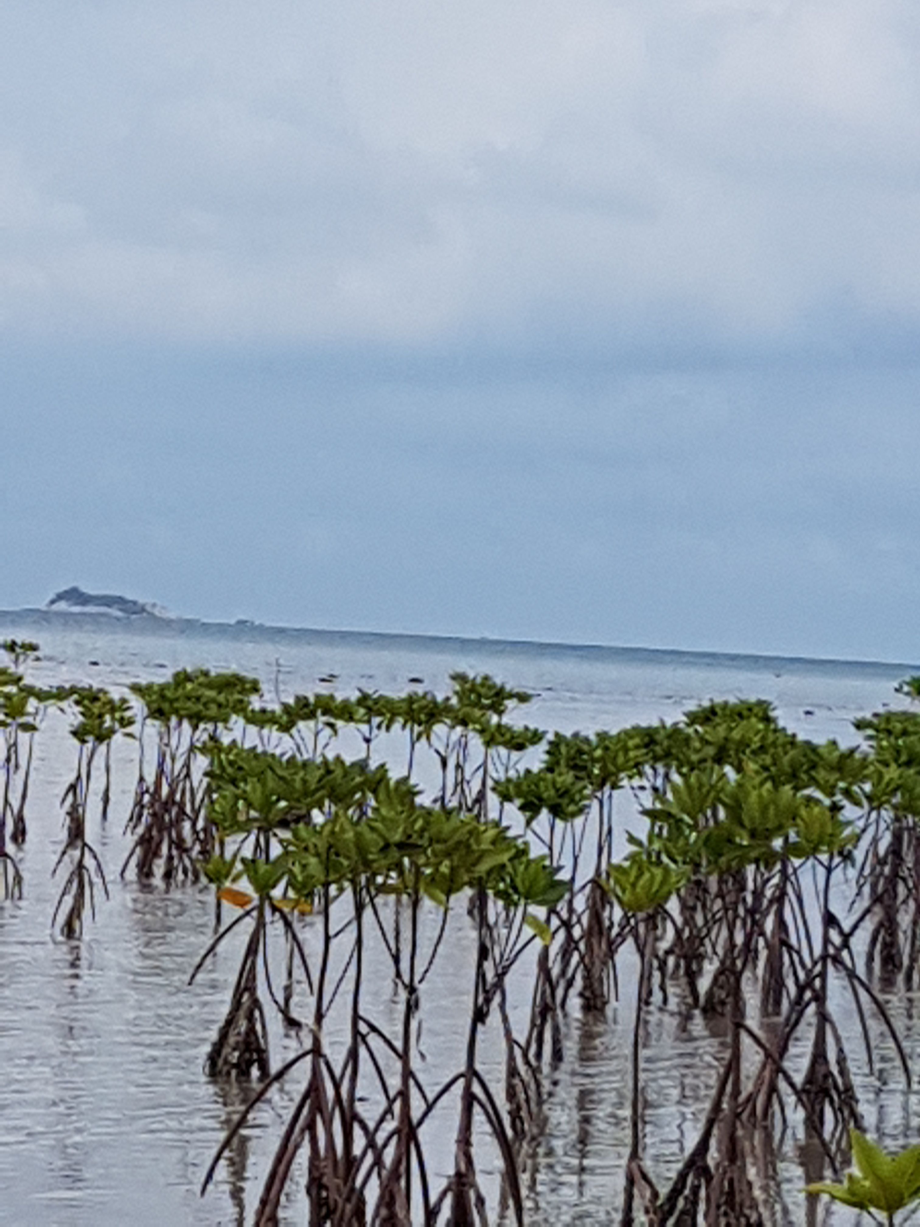 20170910_090038.jpg