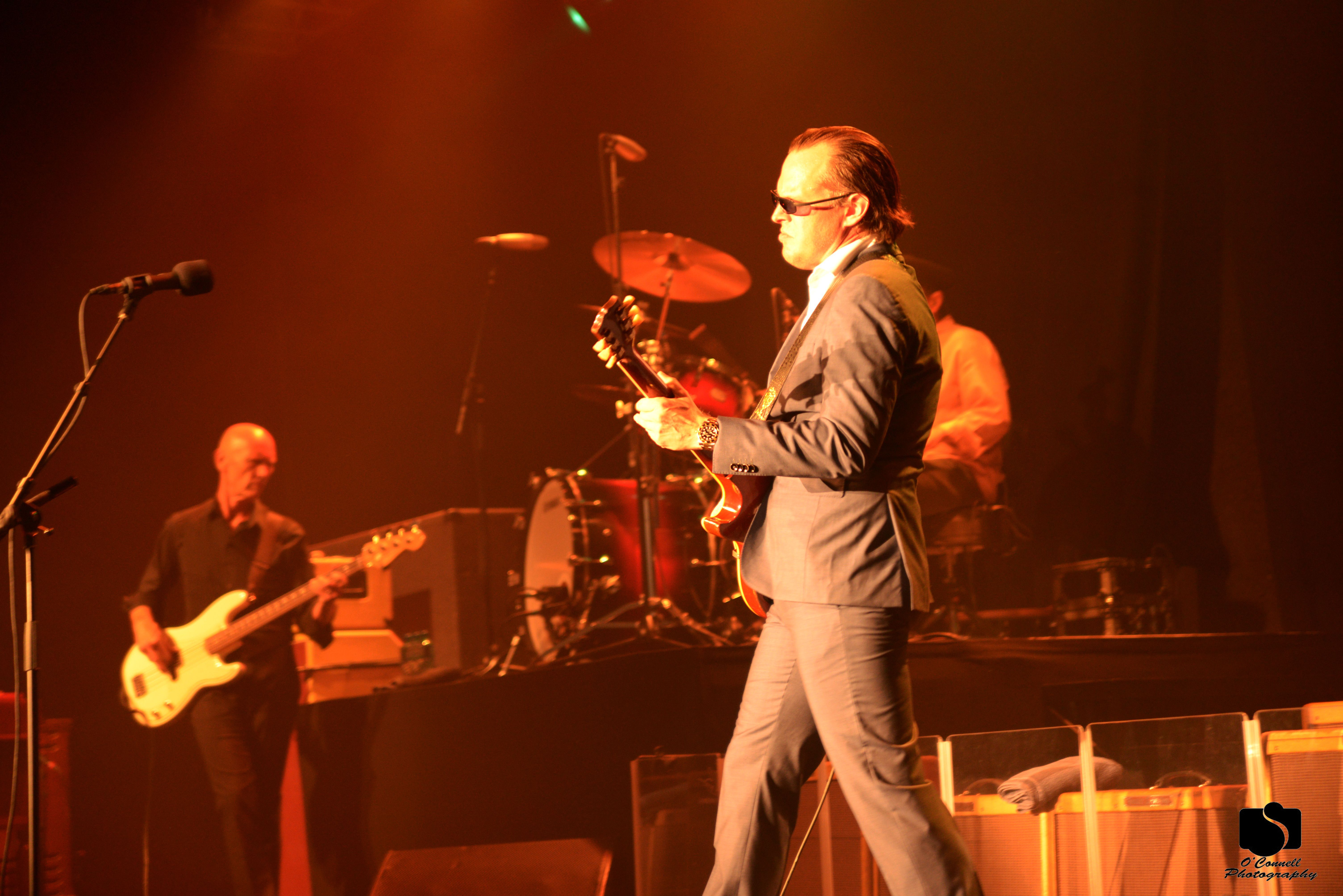 joe bonamassa 398.JPG