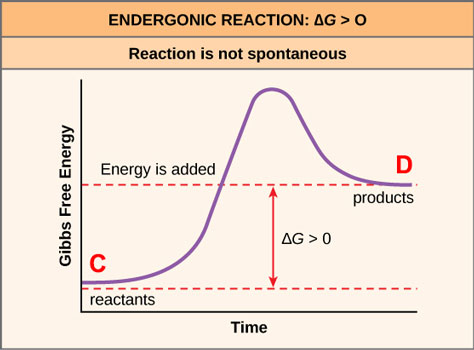 Figure_06_03_03b.jpg