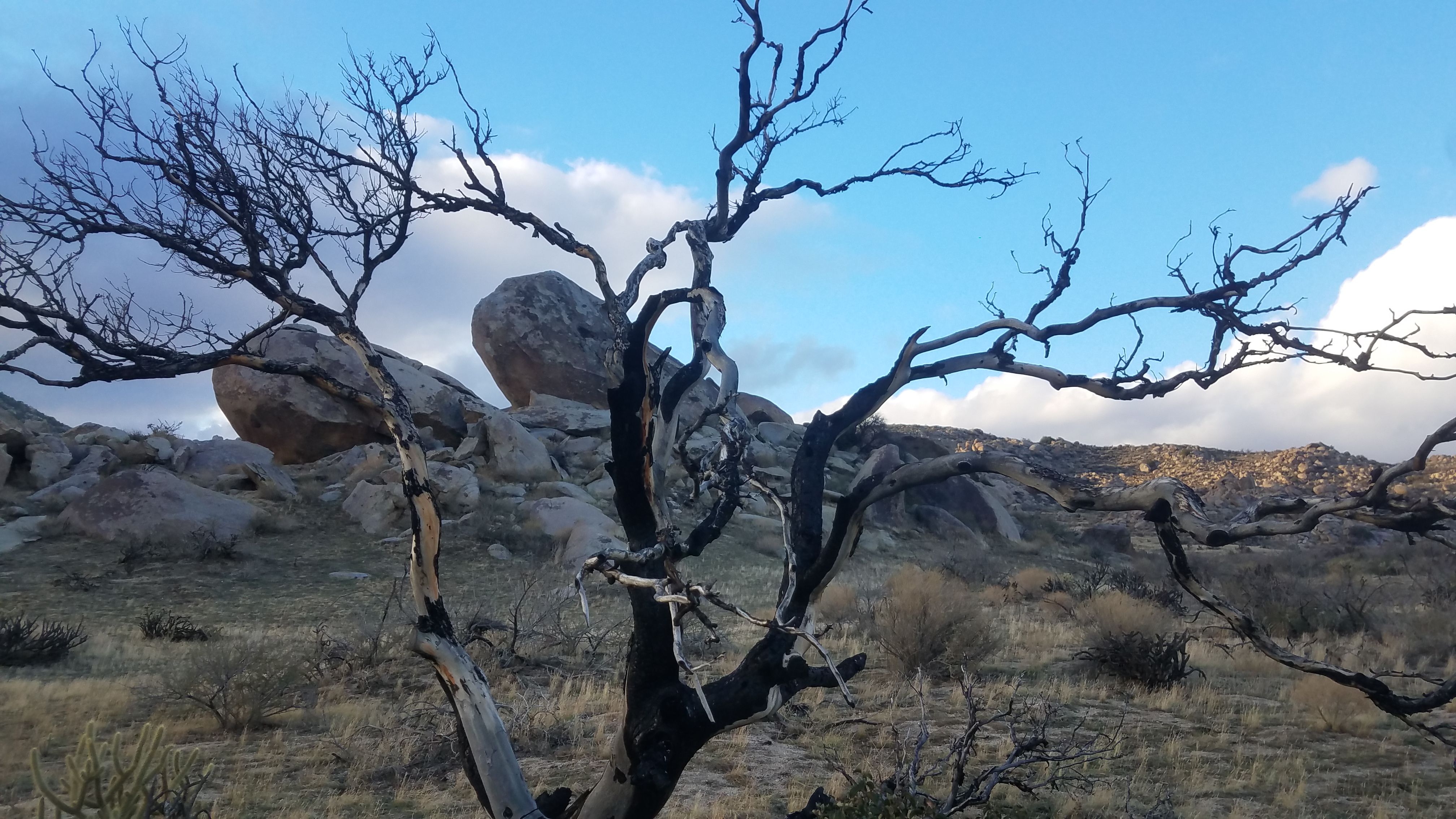 2016-12-23 15.33.41.jpg