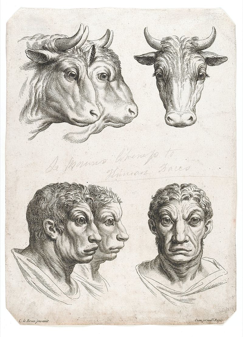 11-charles-le-brun-physiognomy-humans-evolved.jpg