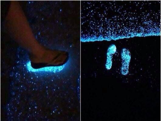 DQmasehH8QvKtwNGxg2FqS2PnZqfunJF3yc1iqnV1u8q3RN_1680x8400 (1).jpg