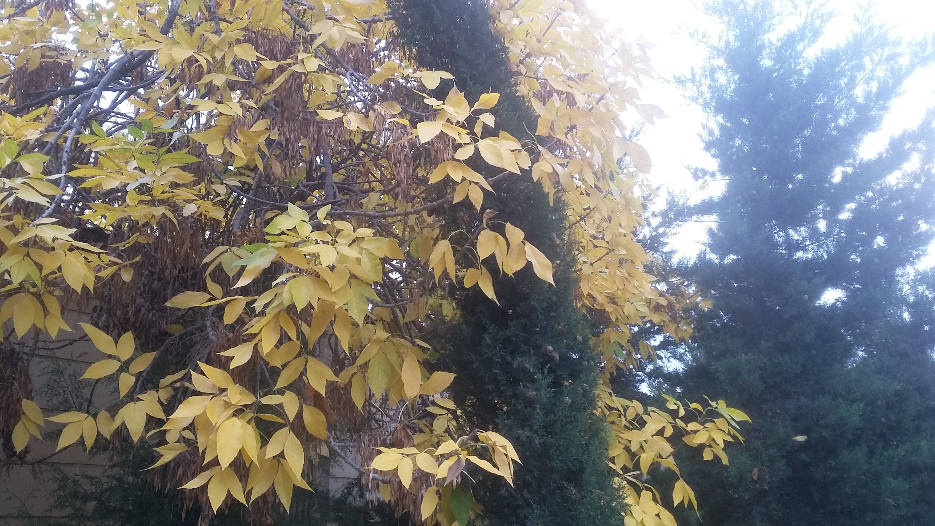 20171024_165006.jpg