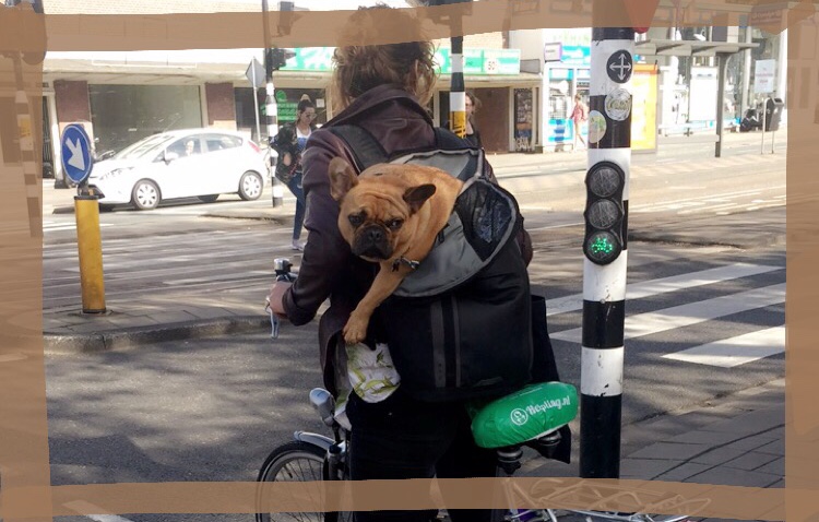 WhatsApp Image 2018-04-11 at 17.53.22 (1).jpeg