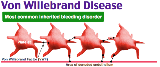 von Willebrand Disease