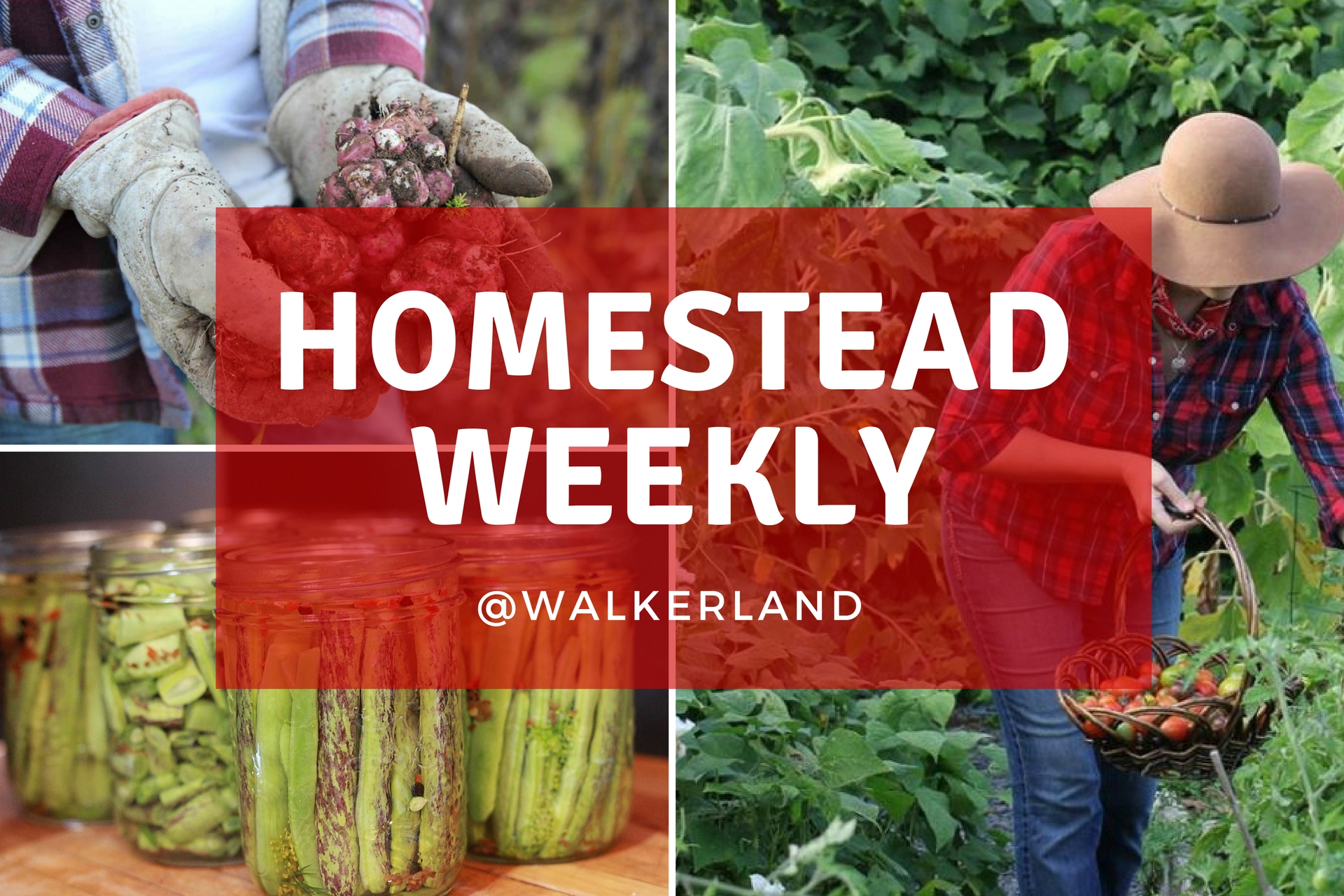 The Walkerland Homestead Weekly.jpg