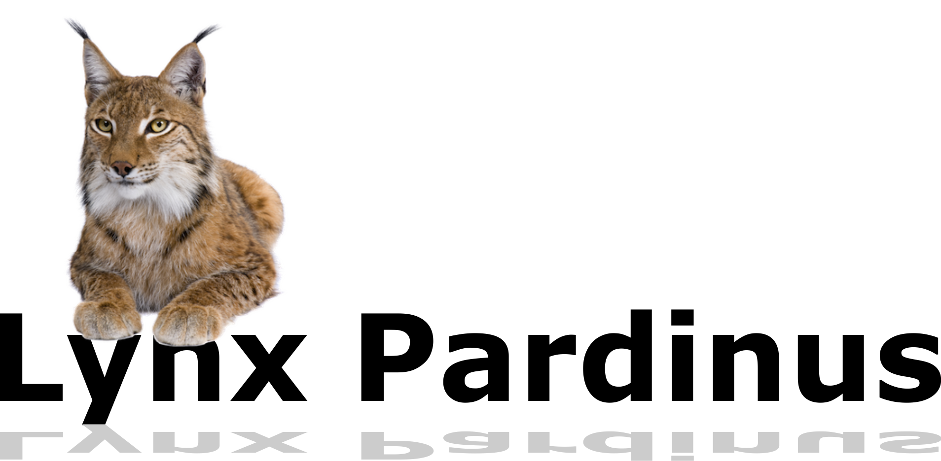 lynx_front1.png