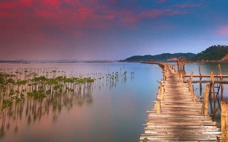 Pawa-Mangrove-Park.jpg