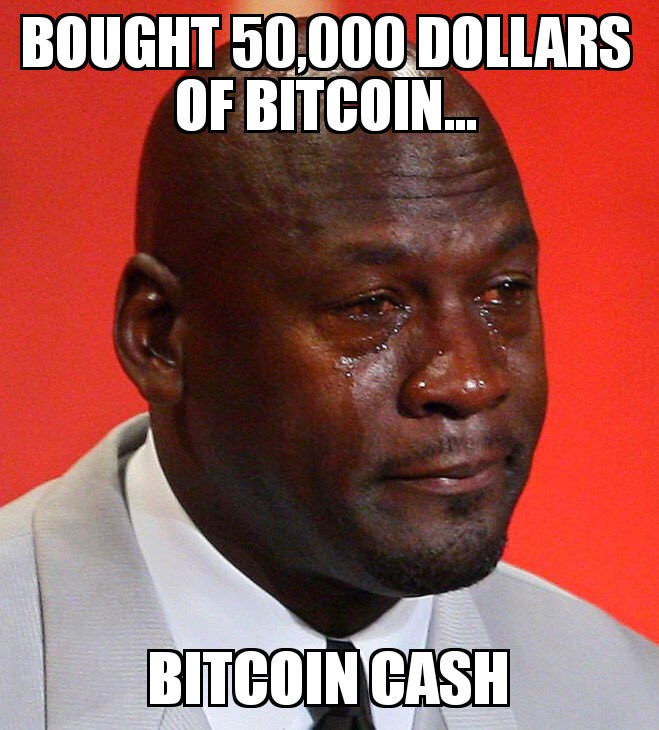 Bitcoin Cash Steemit - 